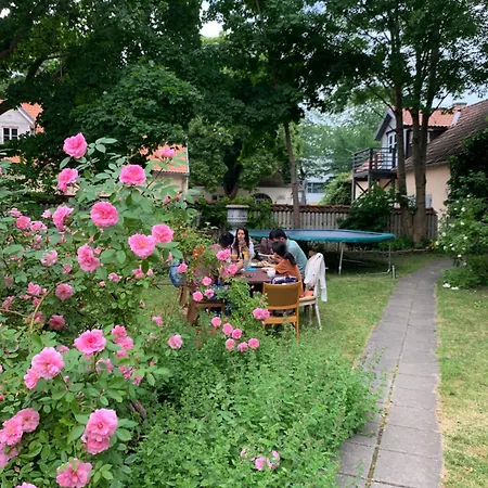 Suviste 3* Kuressaare