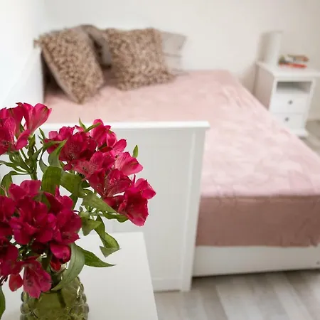 Suviste Affittacamere 3*