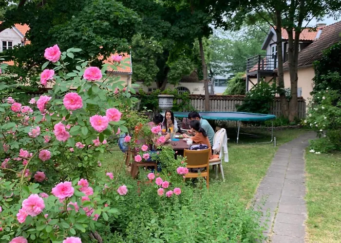 Suviste 3* Kuressaare